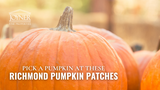 Richmond Pumpkins